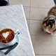 Imagen para el artículo titulado Por qué nunca deberías darle café a tu perro